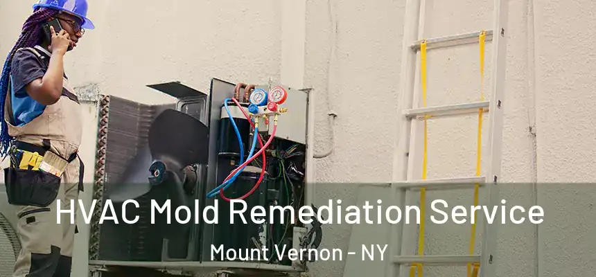  HVAC Mold Remediation Service Mount Vernon - NY