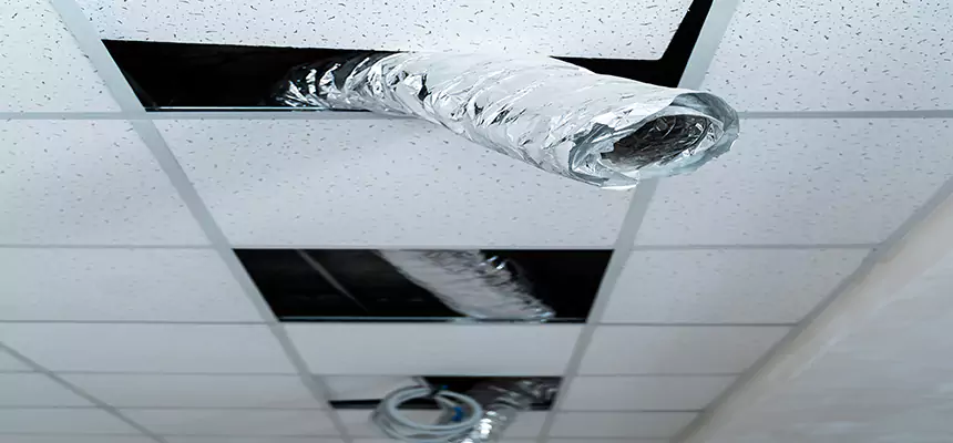 Our Air Duct Pet Hair Removal Services in Mount Vernon, NY