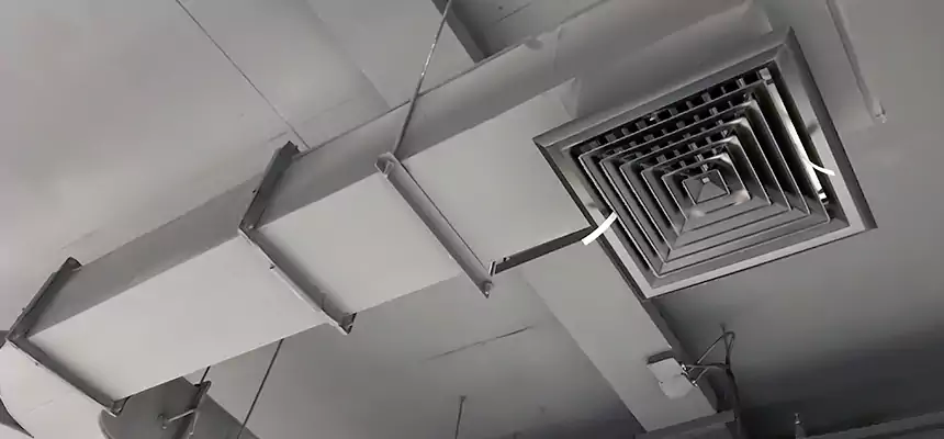 Restorative Allergy Relief Vent Cleaning – Coil, Blower & Housing Detail in Mount Vernon