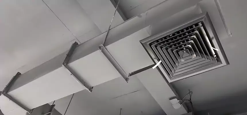 Our Pest Removal From Ducts Services in Mount Vernon, NY