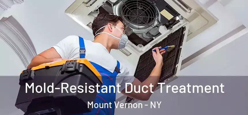  Mold-Resistant Duct Treatment Mount Vernon - NY